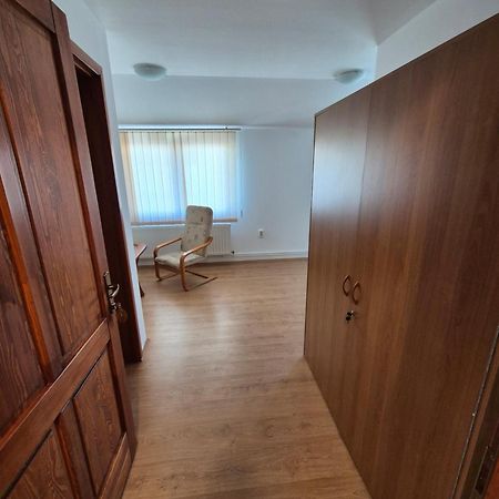 Wolf Apartments Sangeorgiu de Mures Exterior photo